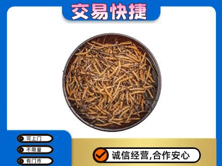 巴彦卓尔乌拉特后旗回收散虫草
